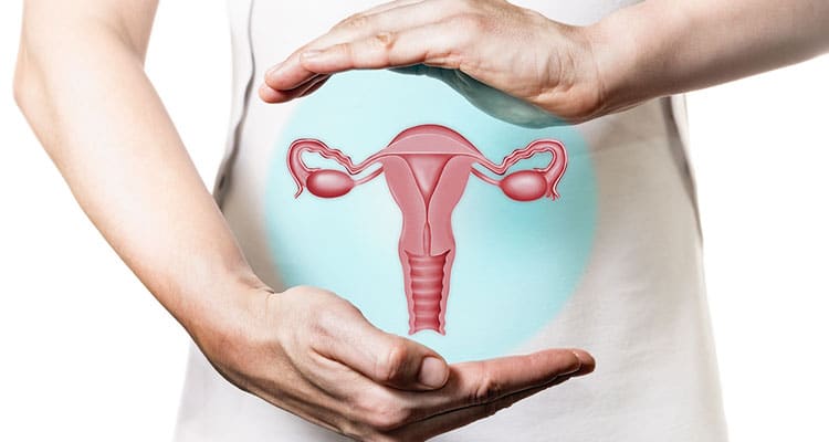 gynecology